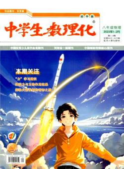 中学生数理化·八年级物理·配合人教社教材期刊